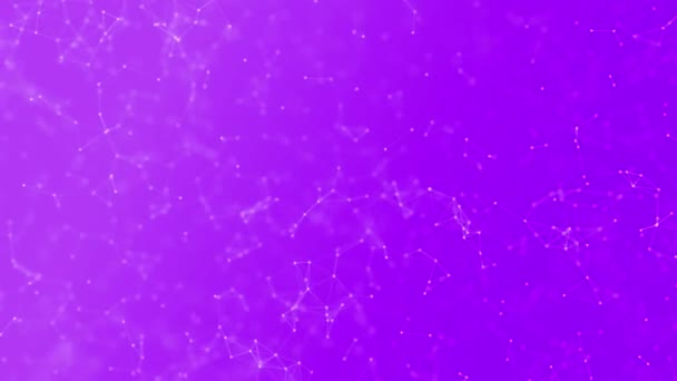 Geanimeerde Purple Plexus Animatie Achtergrond Sjabloon — Stockvideo