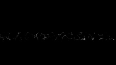 Pleksus Biçimi ile Metin Canlandırması Yükleniyor