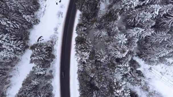 Воздушный вид на заснеженные лесные горы с легковыми автомобилями на зимней дороге. — стоковое видео