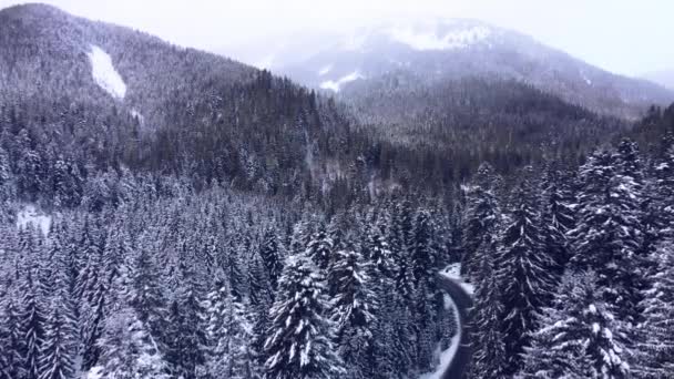 Widok z lotu ptaka góry śnieżne lasy z samochodami jazdy zimą drogowego. — Wideo stockowe