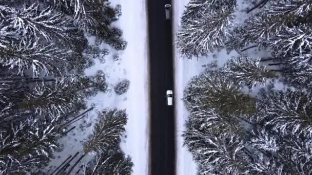 Aerial top view snowy forest mountains with cars driving winter road. — Stock Video
