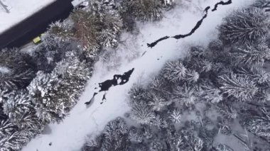 Hava manzaralı kış ormanı.