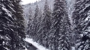 Kış yolunda giden arabalı, karlı orman dağları. Ukraynalı Karpatların insansız hava aracı atışı. Doğal manzara 4K videosu.