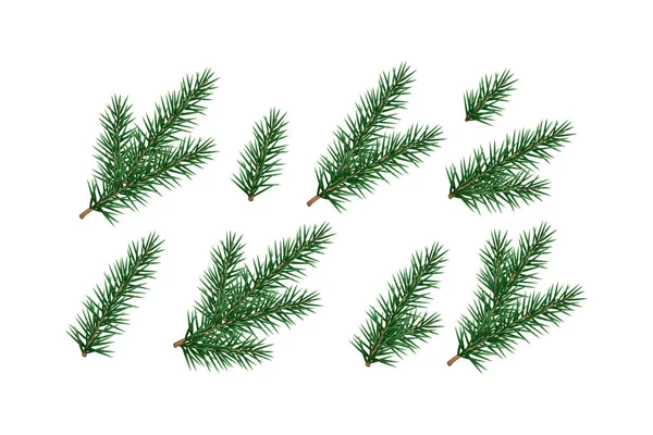 Uppsättning Gran Grenar Tall Barr Isolerad Jul Nyårsträd Dekorativa Element — Stock vektor