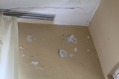 Mold on the corner of the wall. High quality photo