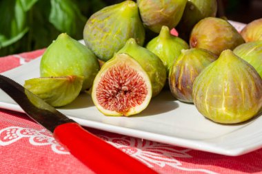 Beyaz tabakta taze taze incir meyvesi hasadı