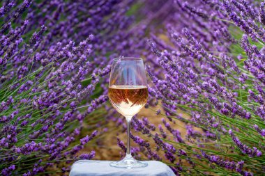 Fransız Provence 'de yaz mevsimi, Cotes de Provence' den soğuk gris gül şarabı ve Valensole platosundaki renkli lavanta tarlaları, Provence, Fransa 'nın tat ve aromaları.