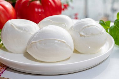 Peynir koleksiyonu, taze İtalyan yumuşak peyniri mozzarella di bufal campana taze fesleğen ve domatesle servis edilir.