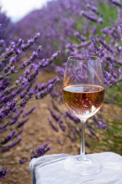 Fransız Provence 'de yaz mevsimi, Cotes de Provence' den soğuk gris gül şarabı ve Valensole platosundaki renkli lavanta tarlaları, Provence, Fransa 'nın tat ve aromaları.