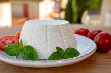 Peynir koleksiyonu, taze domates ve fesleğenle servis edilen yumuşak İtalyan organik peyniri ricotta.