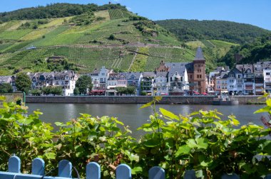 Mosel nehri manzaralı, üzüm bağları olan tepeler ve Almanya 'nın Zell kasabası.