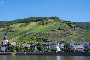 Mosel nehri manzaralı, üzüm bağları olan tepeler ve Almanya 'nın Zell kasabası.