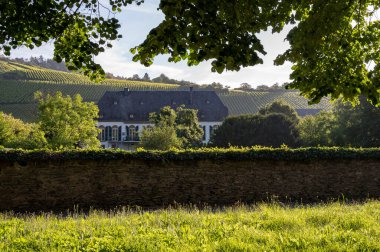 Mosel Nehri Vadisi 'nde yürüyüş, Almanya' nın Traben-Trarbach şehrinin eski evleri.