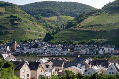 Mosel nehrinin manzarası, bağları olan tepeler ve yazları Zell kasabası, Almanya.
