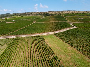 Yeşil Grand Cru ve Fransa 'nın Burgundy bölgesinde kırmızı ve beyaz Burgundy şarabı üreten Cote de nuits' deki Pinot noir üzüm bitkilerinin olduğu başlıca cru üzüm bağlarının Aerian görüntüsü.