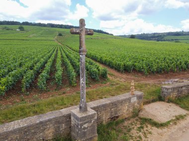 Fransa 'nın doğusundaki Burgundy bölgesinde kırmızı ve beyaz Burgundy şarabı üreten, Cote de nuits' teki Pinot noir üzüm bitkilerinin bulunduğu duvarlı yeşil büyük cru ve başlıca cru üzüm bağlarına Aerian manzarası.