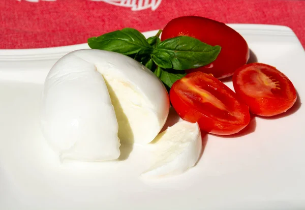 이탈리아 모차렐라 부팔라 카바나의 토마토와 제공되었다 — 스톡 사진