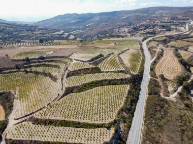 Troodos dağlarındaki hava manzarası, üzüm bağları, zeytinlikleri, köyleri ve beyaz yolları olan verimli vadi, Kıbrıs Rum Kesimi