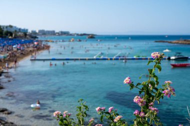 Kıbrıs Rum Kesimi 'nin Protaras kentindeki beyaz kumlu incir ağacı plajında Akdeniz' in berrak mavi suyu