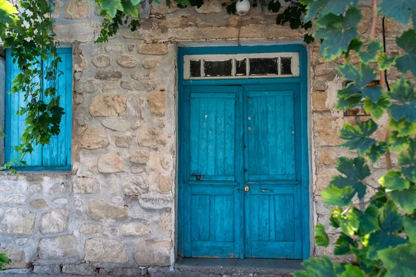 Vecchia Porta Legno Blu Nel Piccolo Villaggio Cipriota Pianta Uva — Foto Stock