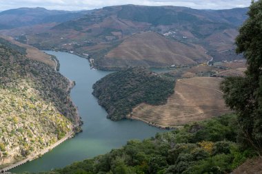 Douro nehir vadisinde panoramik manzara ve renkli tepe merdivenleri sonbaharda üzüm bağları, Portekiz 'de şarap ve liman üretim endüstrisi terasları
