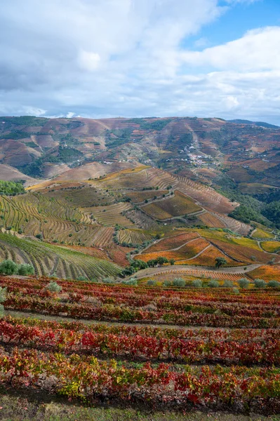 Vista Panorâmica Sobre Vale Rio Douro Colorida Escada Montanhosa Degrau — Fotografia de Stock