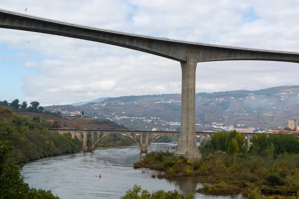 Uitzicht Douro Rivierbruggen Bij Peso Regua Kleurrijke Heuvelachtige Terrasvormige Wijngaarden — Stockfoto