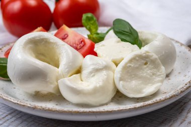 Güney İtalyan yumuşak beyaz mozzarella peyniri bufalo ineklerinden yapılmış taze domates ve taze yeşil fesleğenle servis edilen süt yakın mesafede.