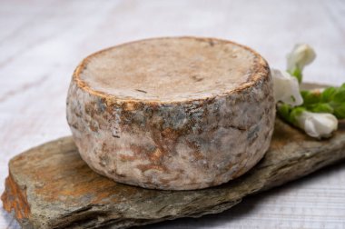 Peynir koleksiyonu, olgun inek peyniri, Fransa 'dan gelen mantarlı tommette de savoie, Alp dağlarında yapılan peynir.