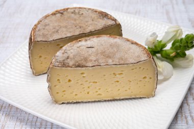 Peynir koleksiyonu, olgun inek peyniri, Fransa 'dan gelen mantarlı tommette de savoie, Alp dağlarında yapılan peynir.