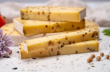 Peynir koleksiyonu, olgun sarı inek peyniri ve Belçika 'dan hardal tohumları.