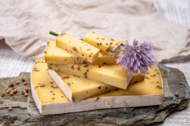 Peynir koleksiyonu, olgun sarı inek peyniri ve Belçika 'dan hardal tohumları.