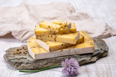 Peynir koleksiyonu, olgun sarı inek peyniri ve Belçika 'dan hardal tohumları.