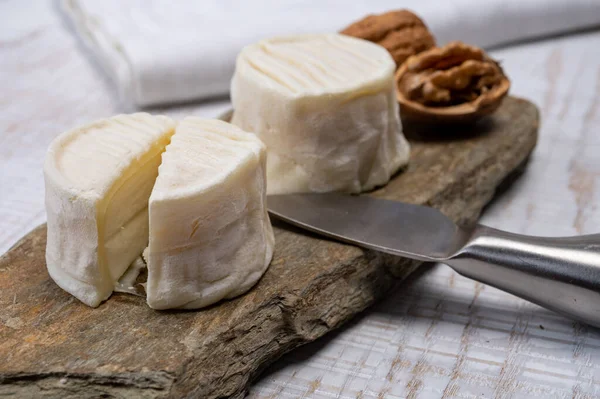 チーズコレクション ロワール渓谷で生産されたモルドクロッティン シャヴィニョールのソフトヤギフランスチーズをクローズアップ — ストック写真