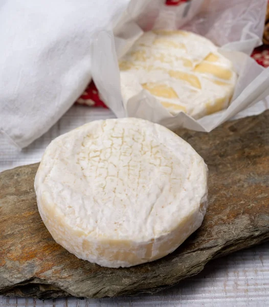 Peynir koleksiyonu, taze, yumuşak inek peyniri, İsviçre küflü, yakın plan.