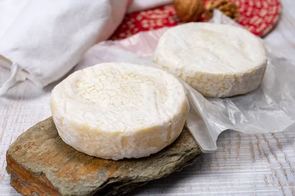 Peynir koleksiyonu, taze, yumuşak inek peyniri, İsviçre küflü, yakın plan.