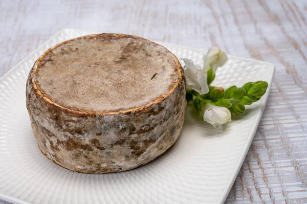 Peynir koleksiyonu, olgun inek peyniri, Fransa 'dan gelen mantarlı tommette de savoie, Alp dağlarında yapılan peynir.