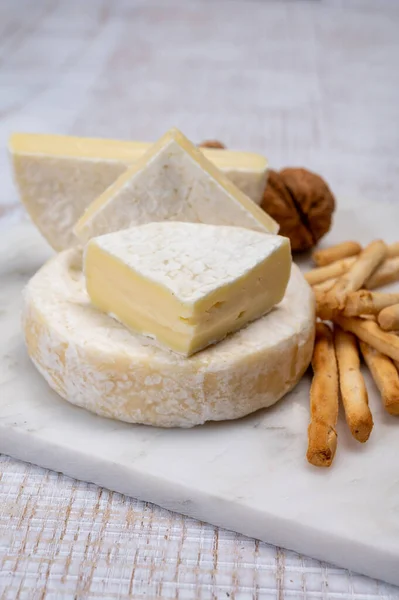 チーズコレクション スイス産のカビのある新鮮な白い柔らかい牛チーズ クローズアップ — ストック写真