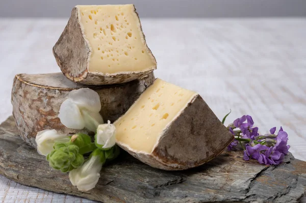 Sbírka Sýrů Zrající Kravský Sýr Plísní Tommette Savoie Francie Sýr — Stock fotografie