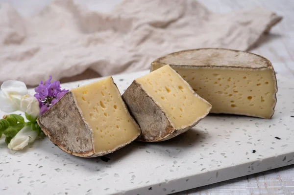奶酪系列 成熟的奶牛奶酪 法国产的带霉菌乳酪 高山产的奶酪 — 图库照片