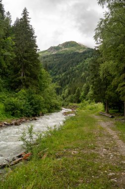 Bon Nant dağ nehri, yeşil ormanlar ve Saint-Gervais-les-Bains, Savoy yakınlarındaki uygun çayırlar. Yazın Fransa