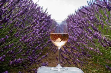 Fransız Provence 'de yaz mevsimi, Cotes de Provence' den soğuk gris gül şarabı ve Valensole platosundaki renkli lavanta tarlaları, Provence, Fransa 'nın tat ve aromaları.