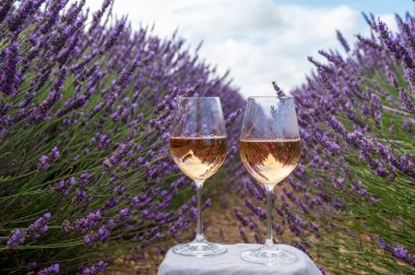 Fransız Provence 'de yaz mevsimi, Cotes de Provence' den soğuk gris gül şarabı ve Valensole platosundaki renkli lavanta tarlaları, Provence, Fransa 'nın tat ve aromaları.