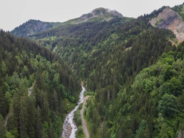 Savoy 'daki Saint-Gervais-les-Bains yakınlarındaki yeşil Alp ladin ve çam ağaçlarının panoramik manzarası. Yazın Fransa