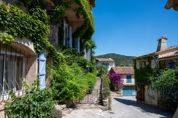 Eski Fransız köyü Grimaud 'da yaz çiçeklerinin renkli çiçekleri, turistlerin uğrak yeri, Var, Provence, Fransa