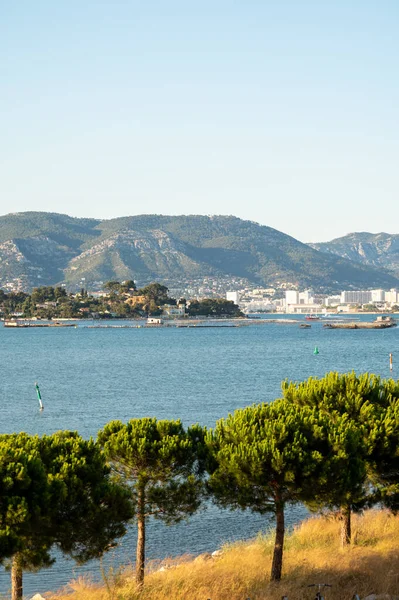 Visa Toulon Hamn Solig Sommardag Var Frankrike — Stockfoto