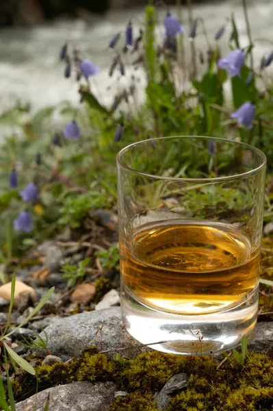 高速流れる山の川と野生の花を背景に強いスコッチシングルモルトウイスキーのガラス スコットランド — ストック写真