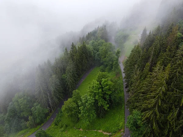 Panoramiczny Widok Zielone Alpejskie Lasy Świerkowe Sosnowe Oraz Łąki Pobliżu — Zdjęcie stockowe