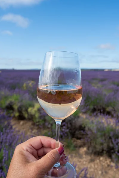Summer French Provence Cold Gris Rose Wine Cotes Provence Blossoming — Stock Photo, Image