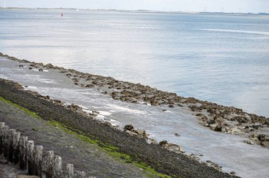 Beyaz kumlu sahildeki panoramik manzara, Kuzey Denizi 'nin Vlissingen en Domburg, Zeeland, Hollanda arasındaki kum tepeleri ve suyu